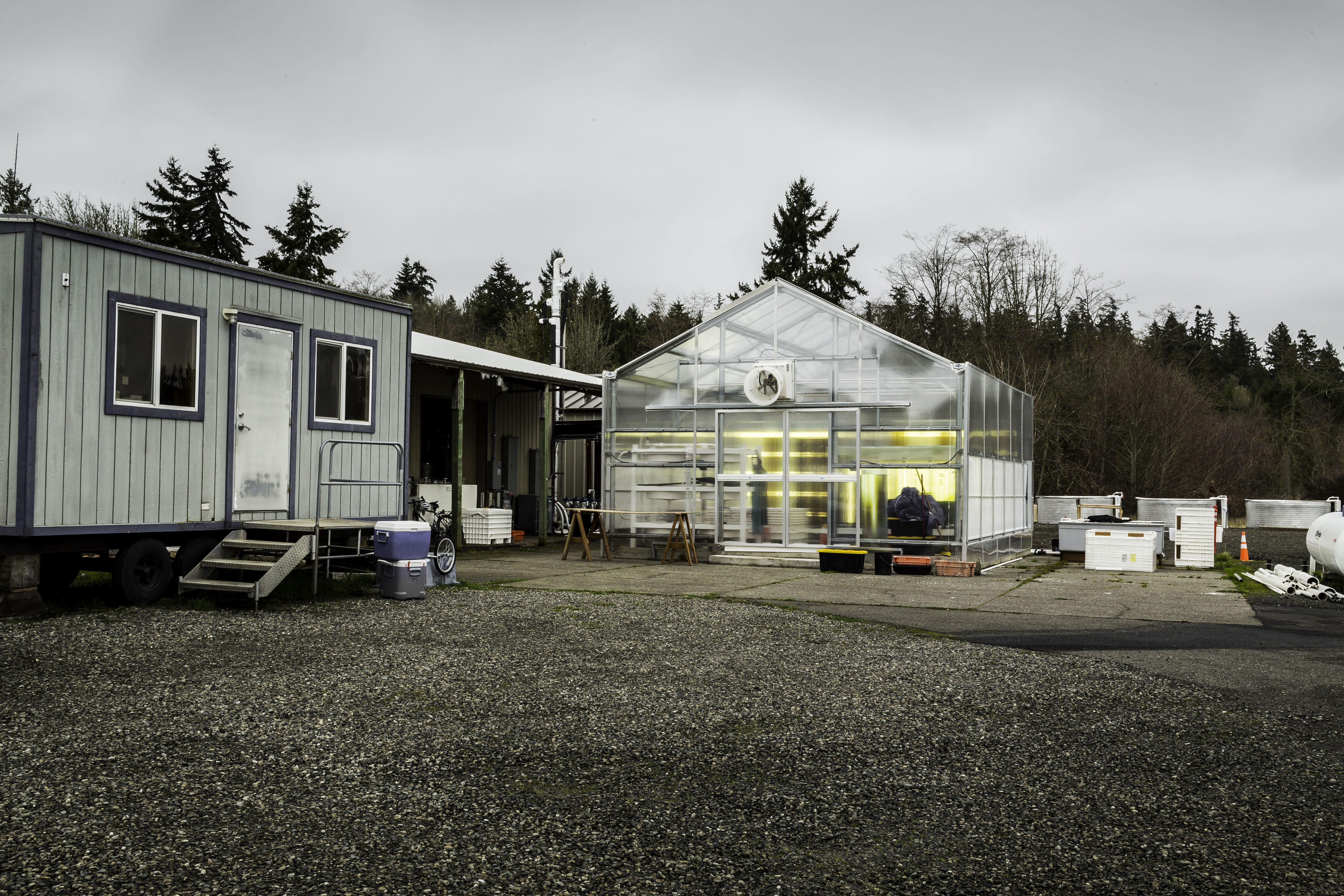 PSRF_PortOrchard-37CP